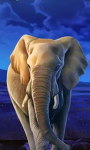 African Elephant
