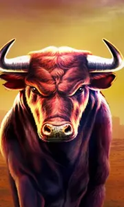 Black Bull